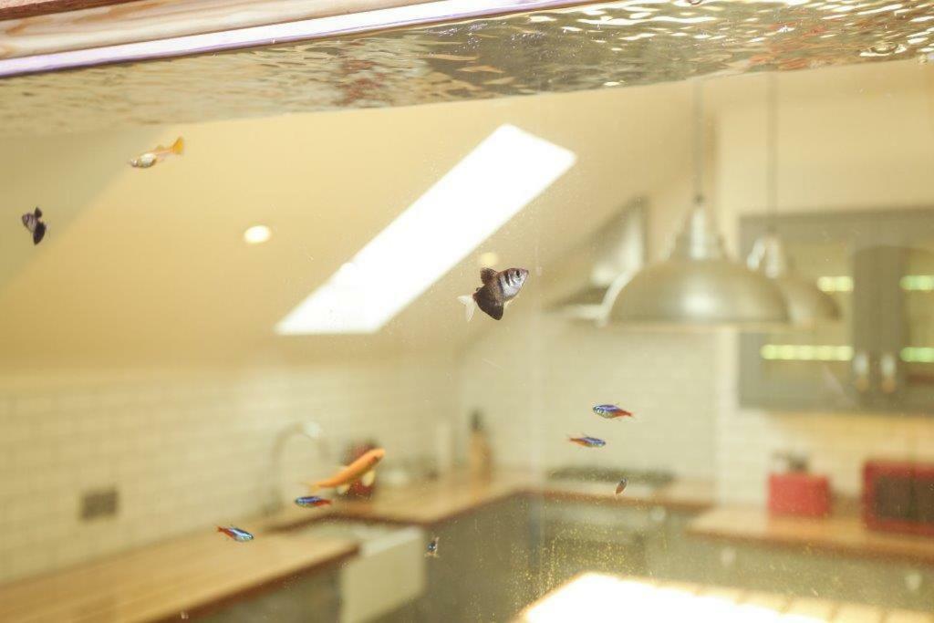 Manhattan Loft Margate Dış mekan fotoğraf